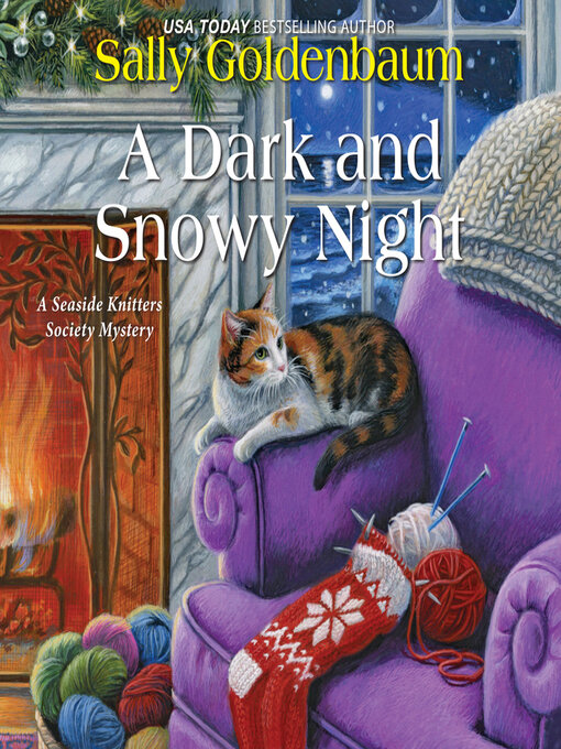 Title details for A Dark and Snowy Night by Sally Goldenbaum - Available